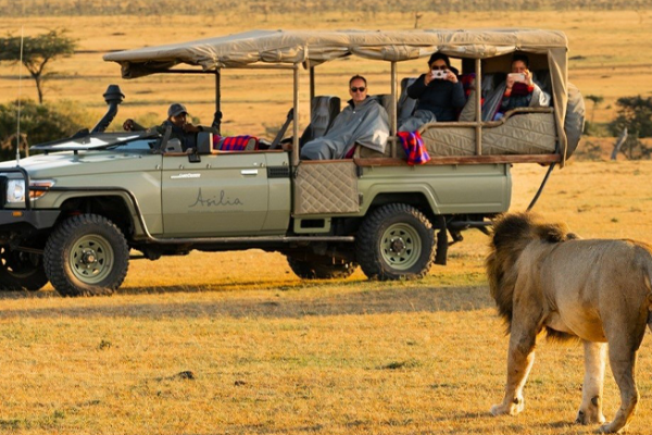 Mikumi National Park Safari