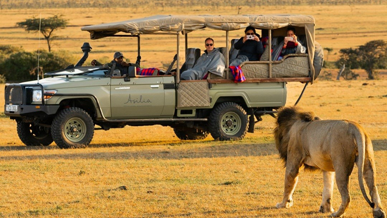 Mikumi National Park Safari