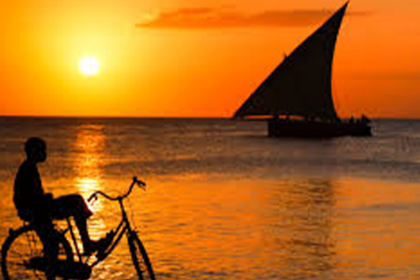 Dhow Sunset Cruise